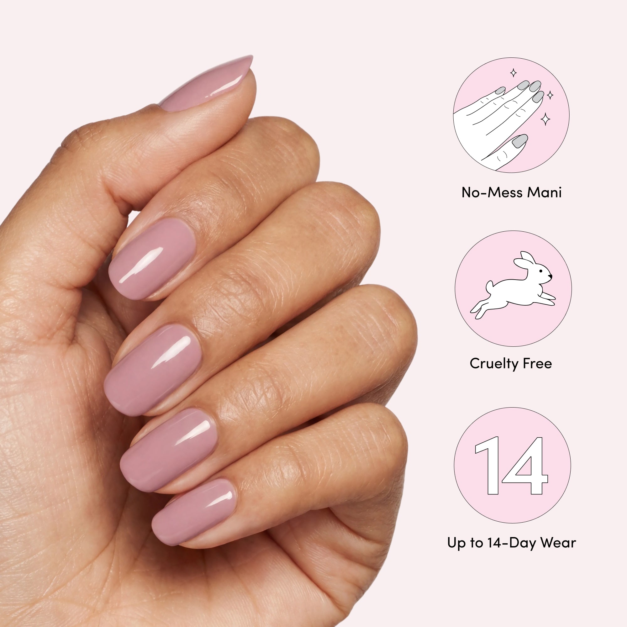 Dolly image thumbnail 5