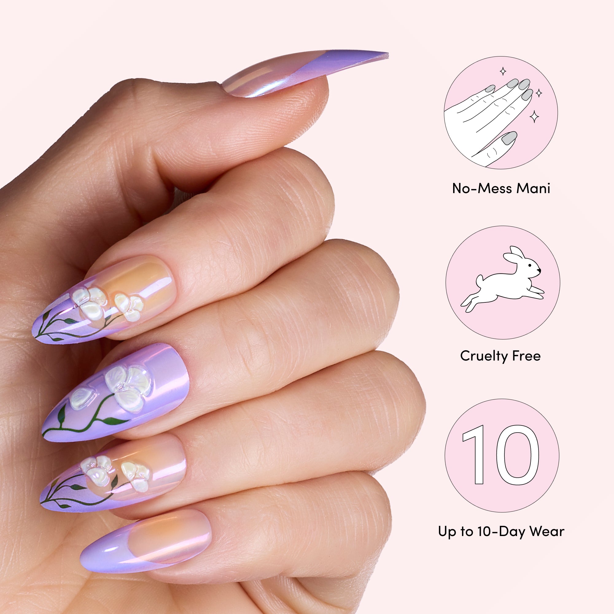 Lavender Sensation image thumbnail 5