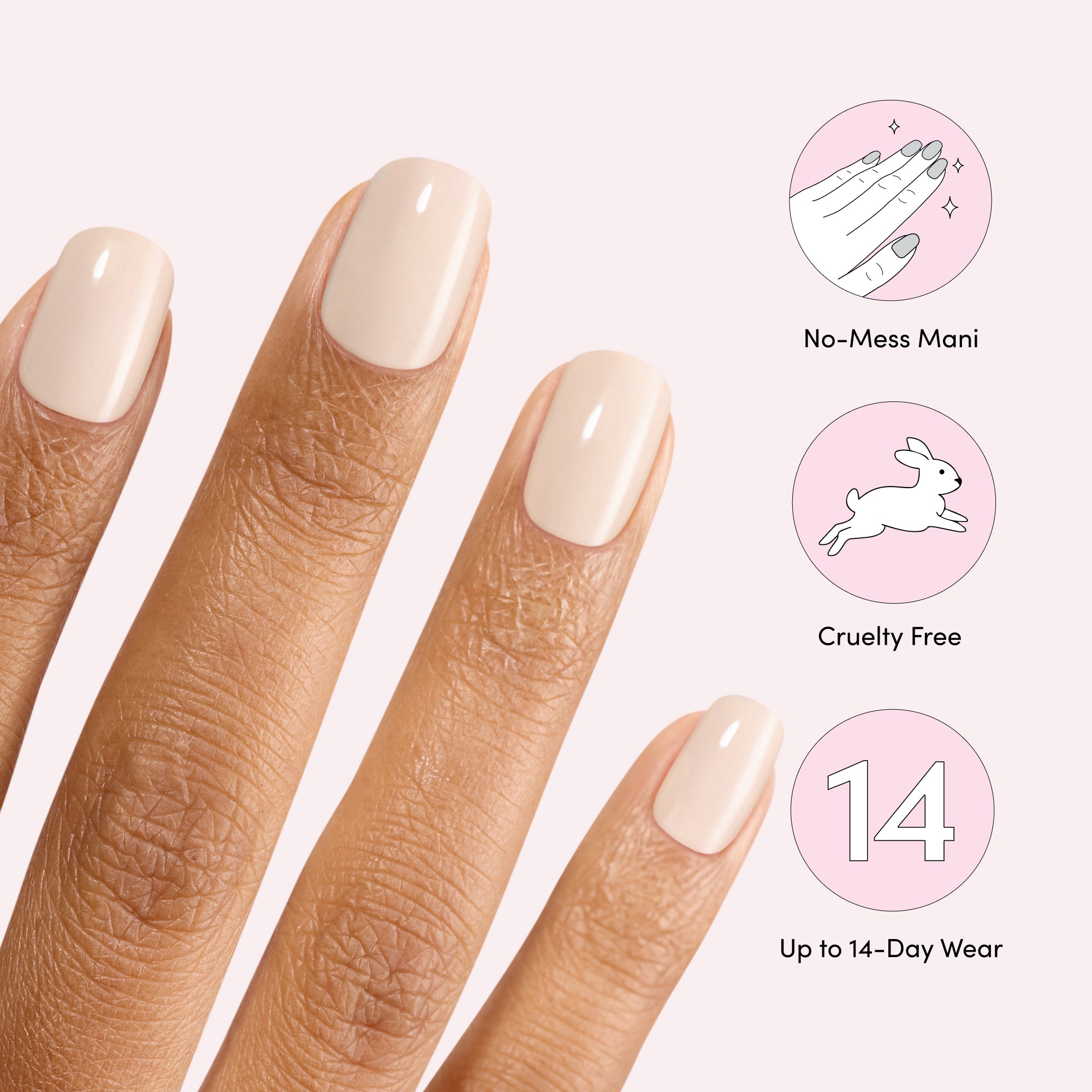 Pointe image thumbnail 6