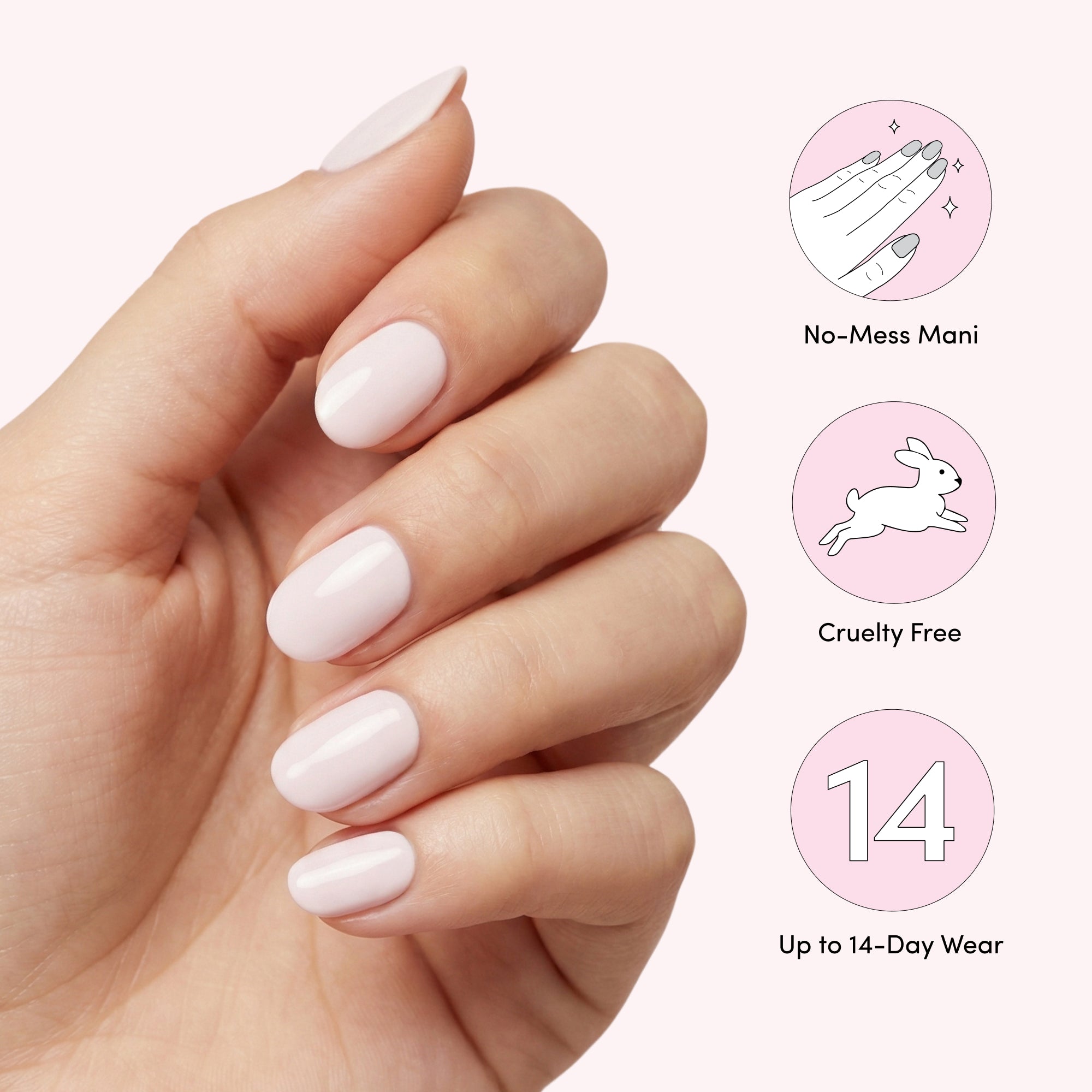 Rabbit image thumbnail 6