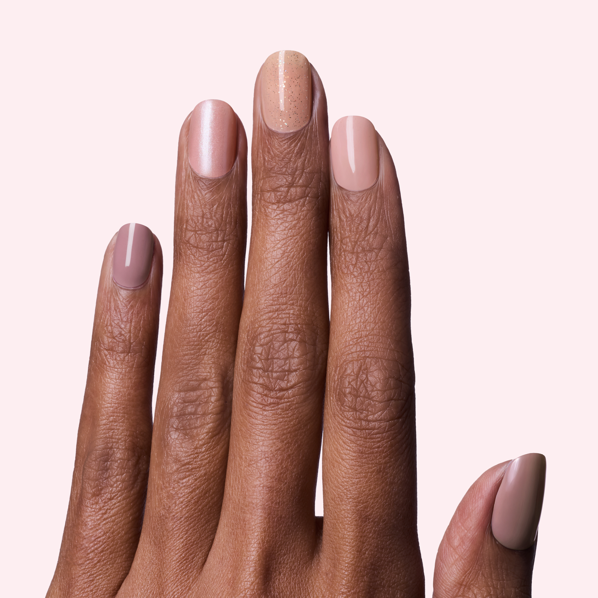 Best of Salon Neutrals – Dashing Diva