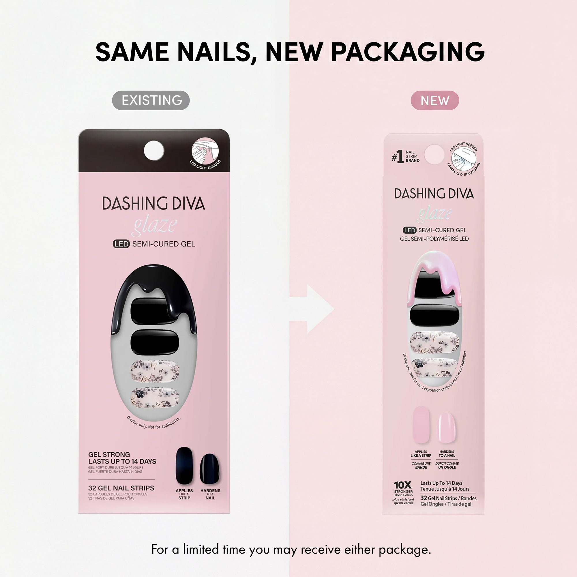 Twilight Garden image thumbnail 8