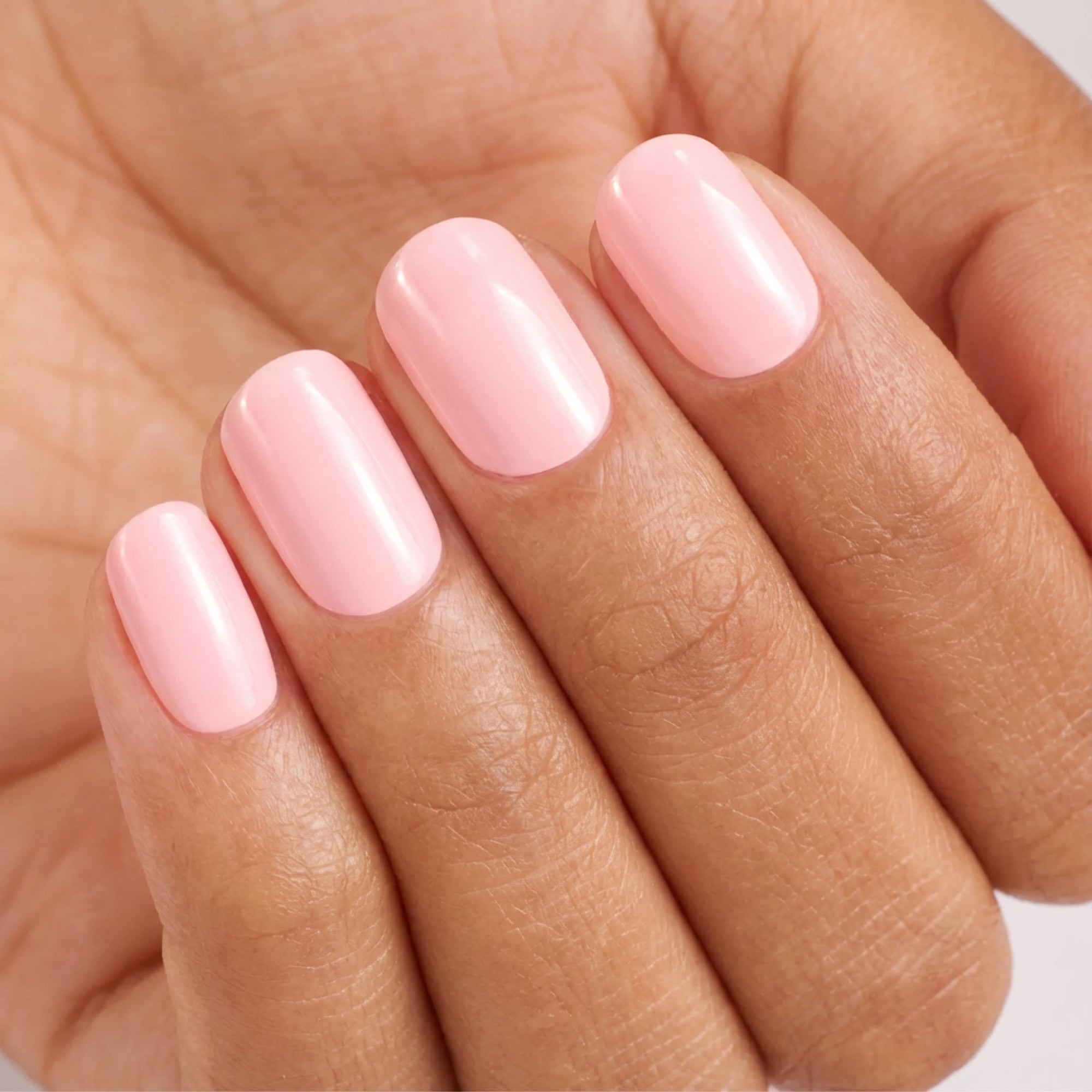 Lovely Pink image thumbnail 2