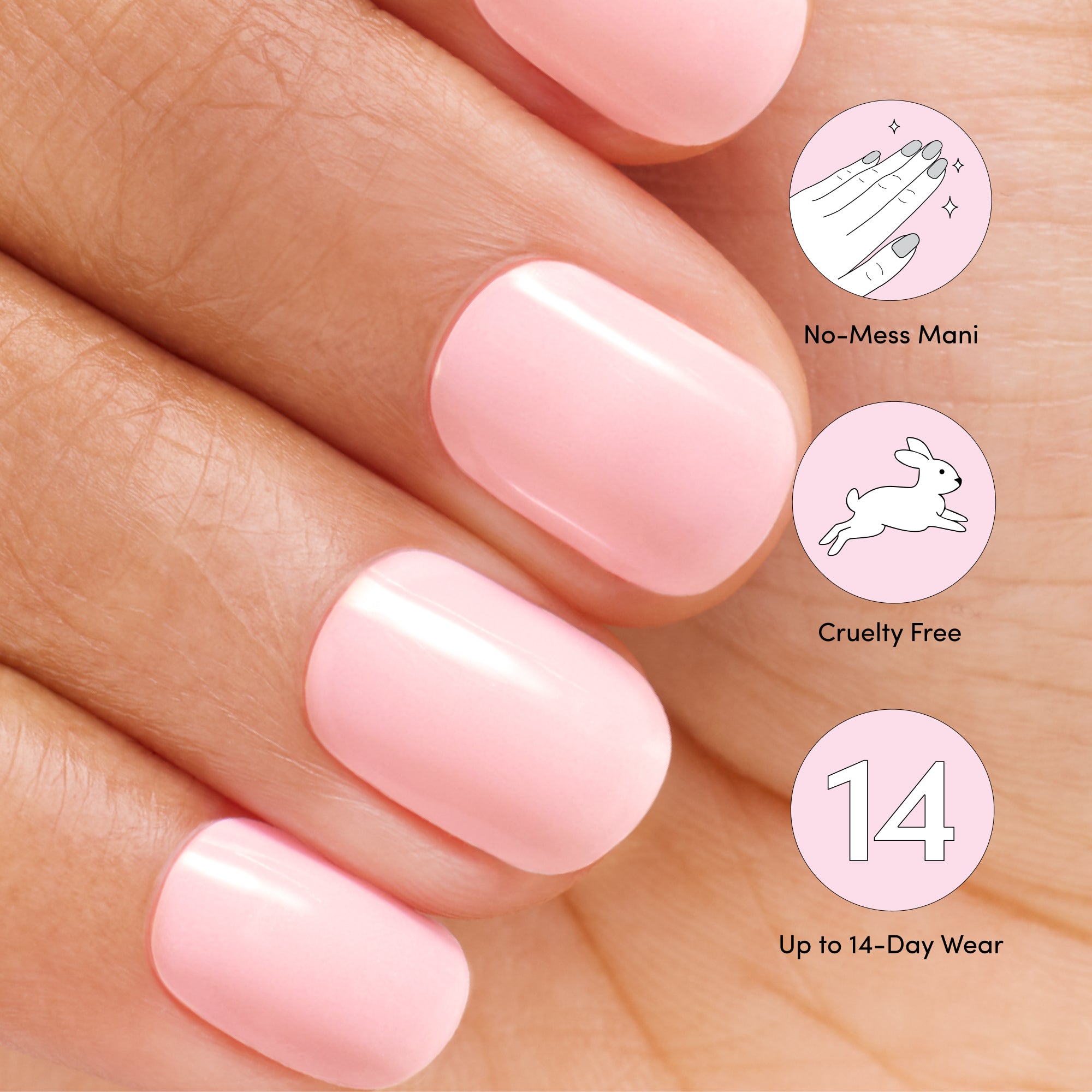 Lovely Pink image thumbnail 5