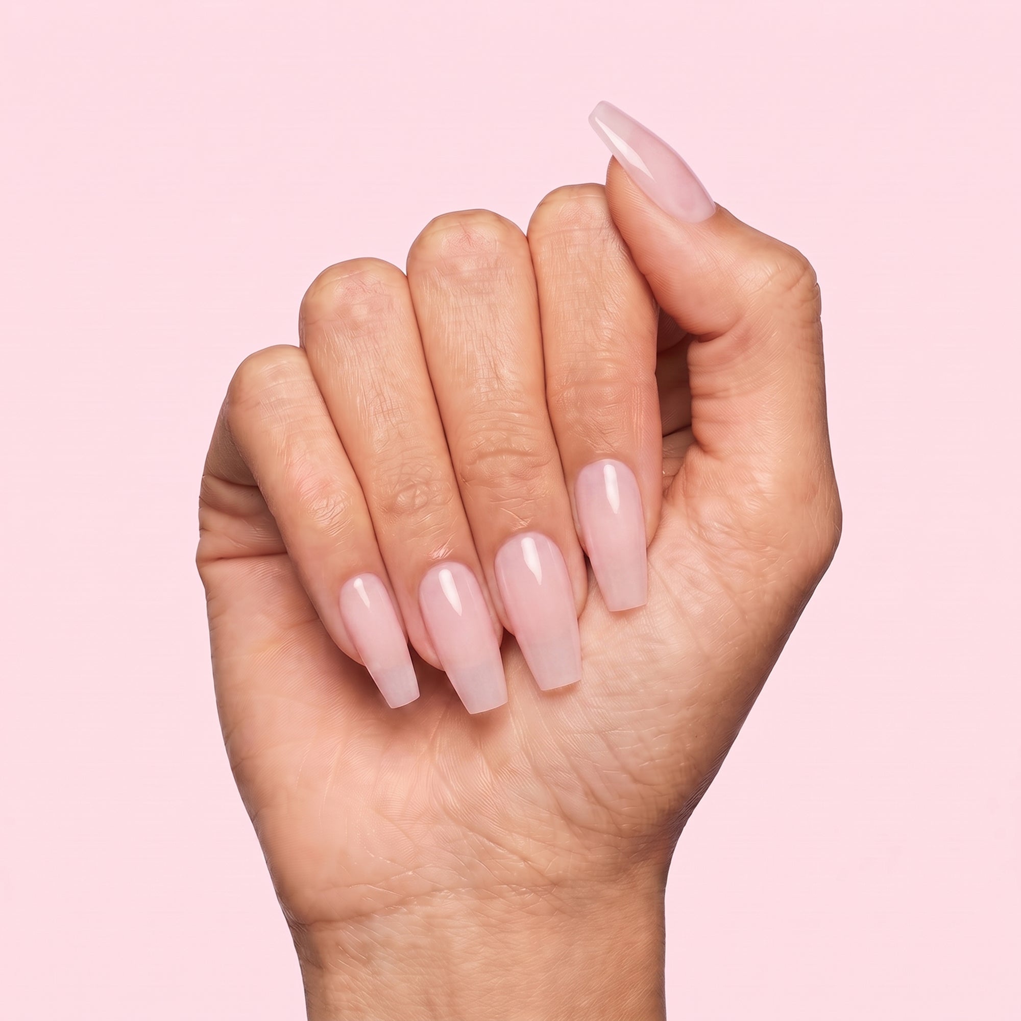 Fresh Coat image thumbnail 2