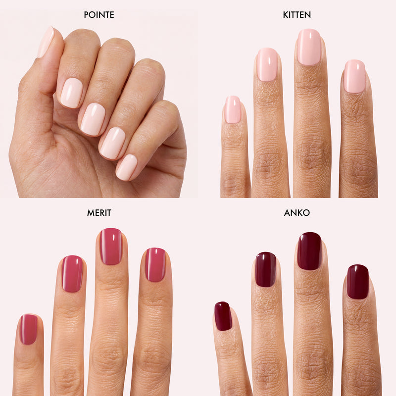 New Neutrals