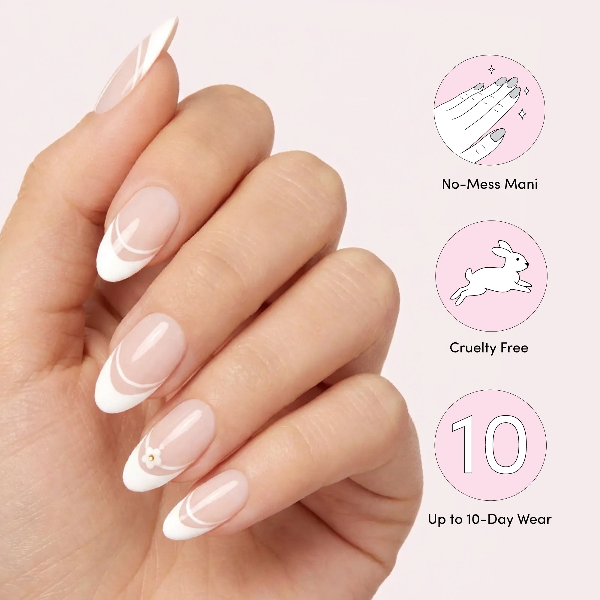 Brighter Dais Ahead image thumbnail 6